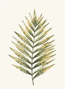 JP Objektpflege & Gartenservice Logo